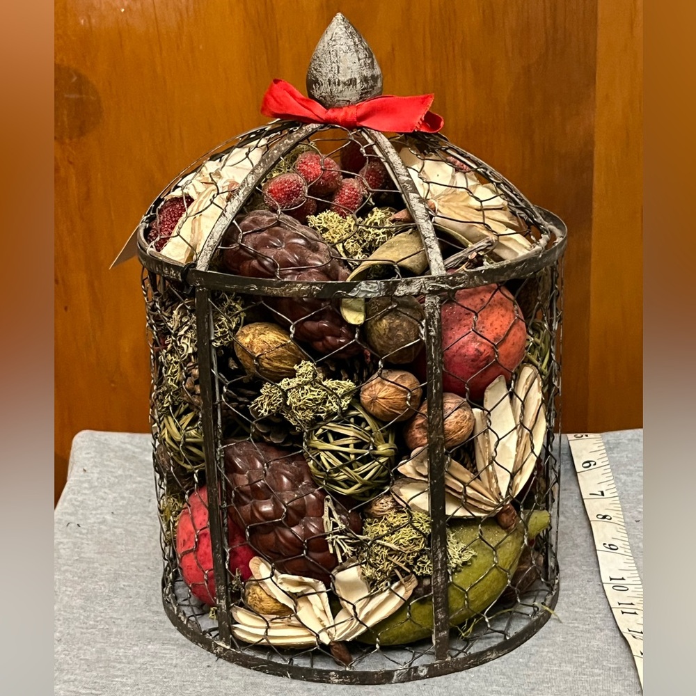 Decorative Wire Cage with Assorted Natural Accents great condition